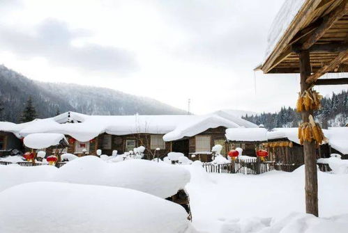 北国之冬 一场冰雪童话的亲子之旅——哈尔滨·雪乡·亚布力全攻略