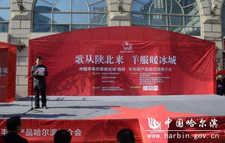 塞北暖绒南下冰城——首届陕西榆林羊毛绒产品哈尔滨推介会圆满举行